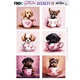 Push Out Scenery - Puppy in cup - Square