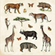 Sticker Book - Zoological Ephemera - 50 sidor
