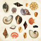 Sticker Book - Poseidons Kingdom - 50 sidor