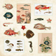 Sticker Book - Poseidons Kingdom - 50 sidor