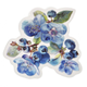 Stickers - Clear - Blåbär - 40st