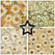 Scrapbookingpapper - 30x30cm - Vintage Daisies
