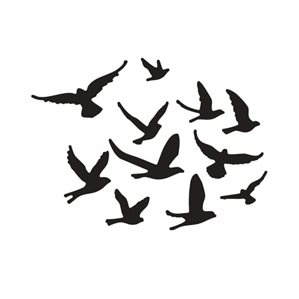 PY Hobby Dies - Fåglar - 1 till 3,4cm