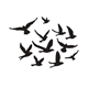 PY Hobby Dies - Fåglar - 1 till 3,4cm