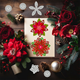 Dies - Set - Julblommor