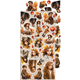 18st klippark - Autumnaria - Extras Set