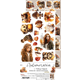 18st klippark - Autumnaria - Extras Set