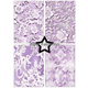 Scrapbookingpapper - A5 - Bridal Lace