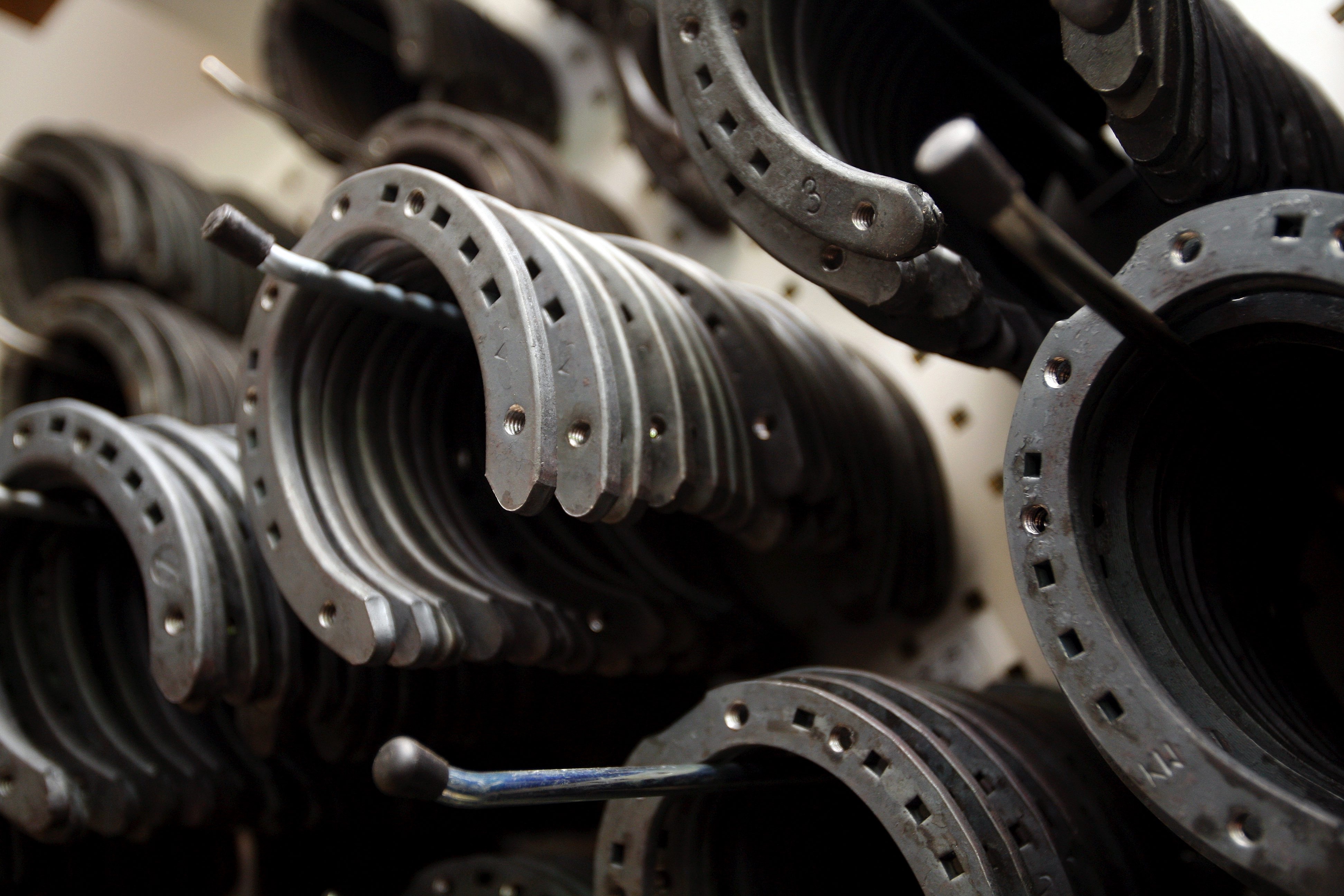 Vinterskor för häst