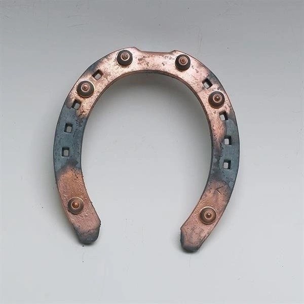 KW GULDSKON BRODDSKO LÅG FRAM 18x6