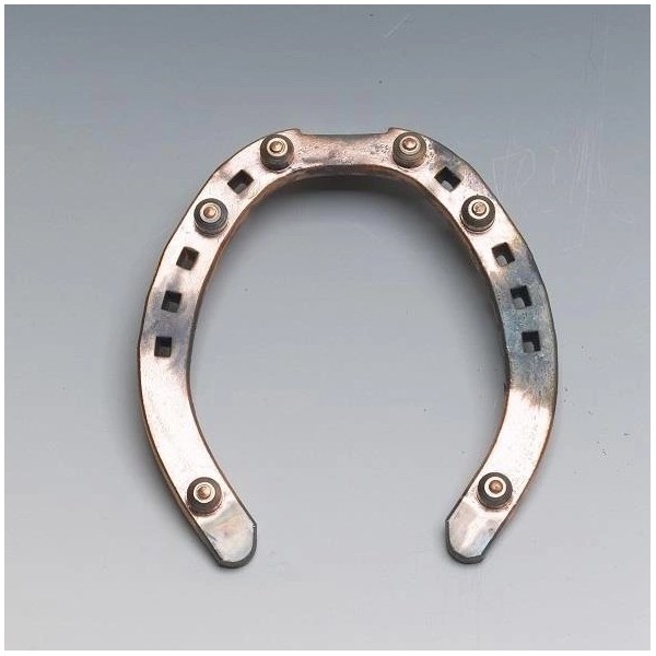 KW GULDSKON BRODDSKO LÅG FRAM 15x6