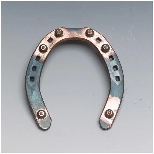 KW GULDSKON BRODDSKO LÅG BAK 18x6