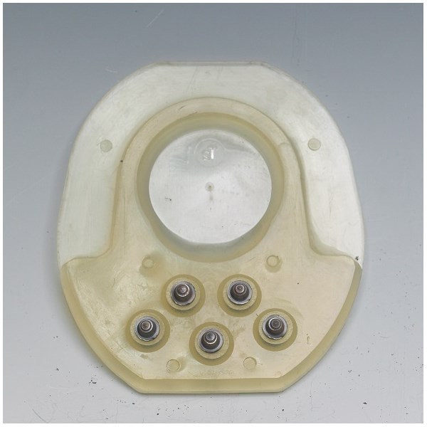 KW FLAPSULA TUNA VINTER