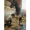 Equimaris KYLLERA  EQUIMARIS  REB  MARINE