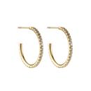 Cloe Crystal Earring 20mm