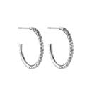 Cloe Crystal Earring 20mm
