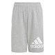 Adidas BL JR SHORTS GREY/WHITE