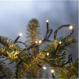 Ljusslinga 30 Varmvit LED
