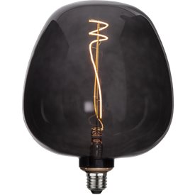Globlampa LED apple svart 190mm Deco-led E27