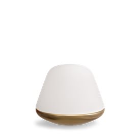 Bloom bordslampa Ø20 mässing/opal glas