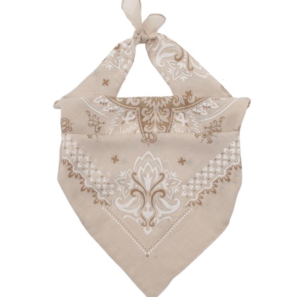 Paisley mönstrad scarf