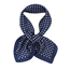 Prickig liten scarf