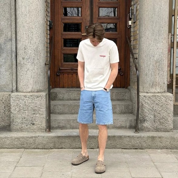 Lee Asher Shorts - Herr