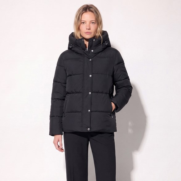 Dove Jacket