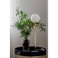 Globen Lighting Savoy High 2271-63 Bordslampa Mässing