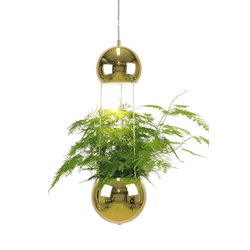 Globen Lighting Mini Planter 2411-63 Pendel Mässing