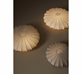 Pr Home Carnaby Plafond 42 cm