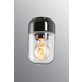Ifö Ohm Taklampa 100/170, Svart/Klarglas (IP44)