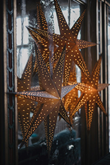 Julstjärna Twiggy D75 glitter silver