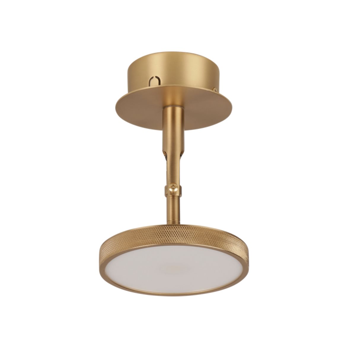 Asteria Spot - Plated Brass