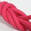Raspberry