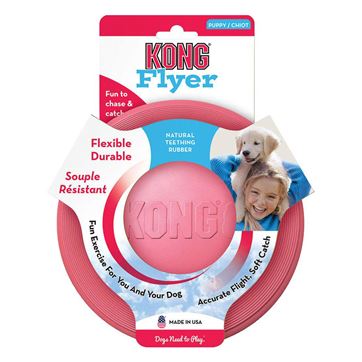 Kong frisbee puppy