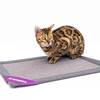 Pet Rebels Klösmatta Mastermat 60 ljus grå