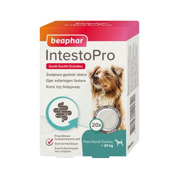 Beaphar IntestoPro tabletter hund >20kg