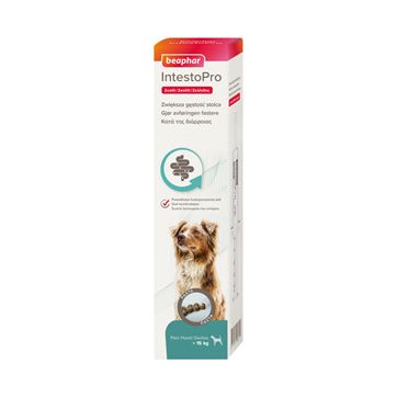 Beaphar IntestoPro pasta hund >15kg