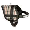 Flamingo Hundsele Eeny Meeny, Burberry 36-46cm