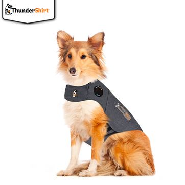Thundershirt L