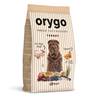 Orygo Adult Turkey/Pumpkin 8kg