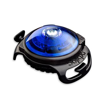 Orbiloc blå Dual Light