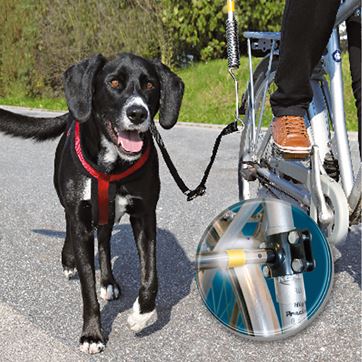 Cykla med hund