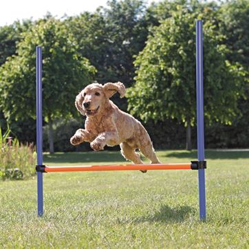 Trixie Hopphinder Plast