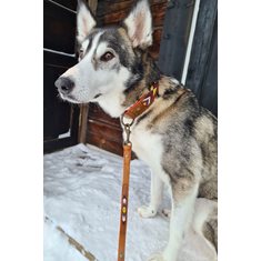 Dog collar INKA pink