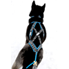 Run Long Harness
