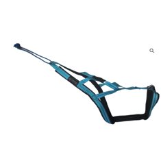VIPDOGWEAR R-SELE TURKOS 5