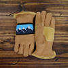 Antero Short-Cuff Gloves
