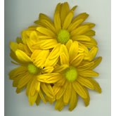 Ljusmanschett Gerbera